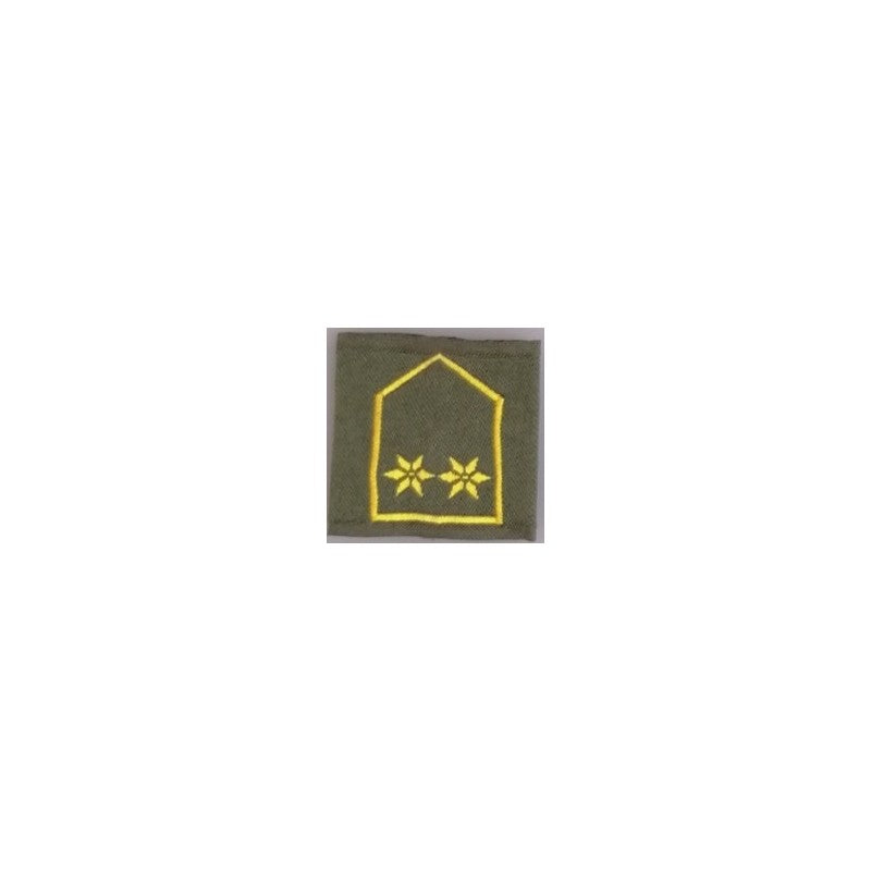 DIENSTGRADSCHLAUFE OBERLEUTNANT