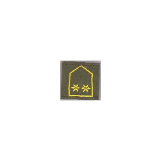 DIENSTGRADSCHLAUFE OBERLEUTNANT