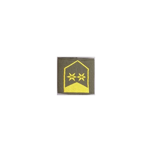 DIENSTGRADSCHLAUFE OBERSTLEUTNANT